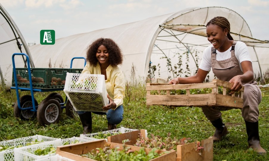 Green Business in Africa_ How Sustainability Is Driving Growth