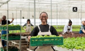 Kenyan Agritech Founder Drives Africa’s Green Revoluti