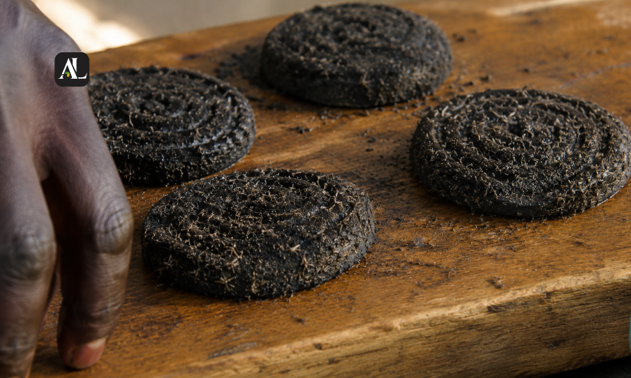Exploring the Unusual Nutritional Reality of the African Mosquito Burger