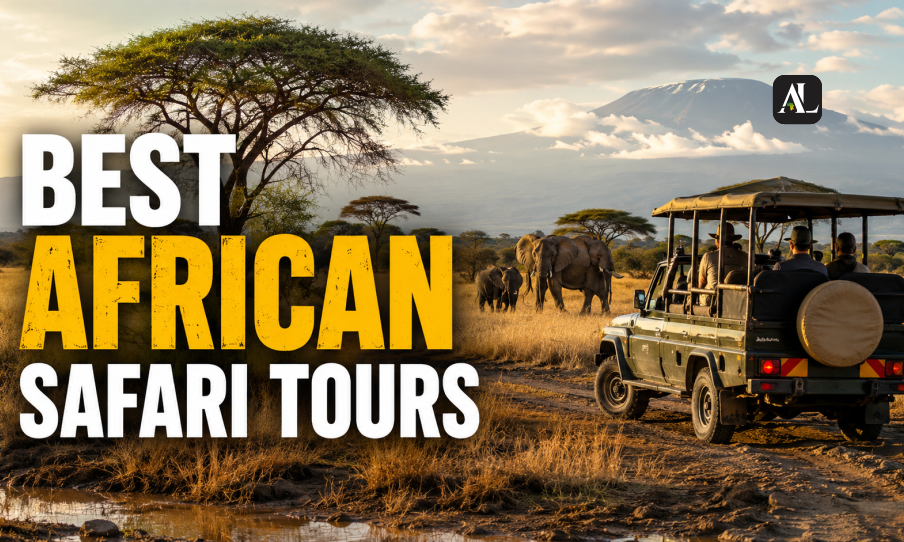 Unlocking the Wild With the best african safari tours This Year